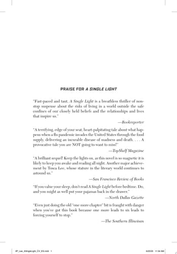 A Single Light A Thriller