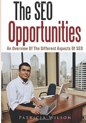 The Seo Opportunities An Overview of the Different Aspects of Seo
