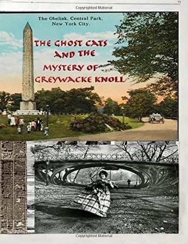 The Ghost Cats and the Mystery of Greywacke Knoll