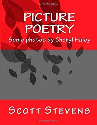 Picture Poetry
