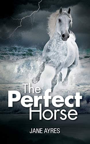 The Perfect Horse