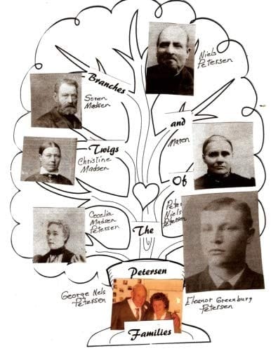 Branches and Twigs of the Petersen Families
