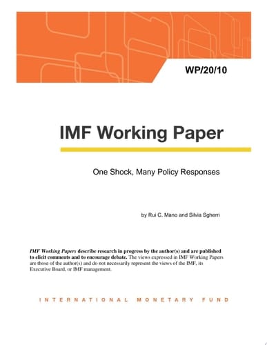One Shock, Many Policy Responses