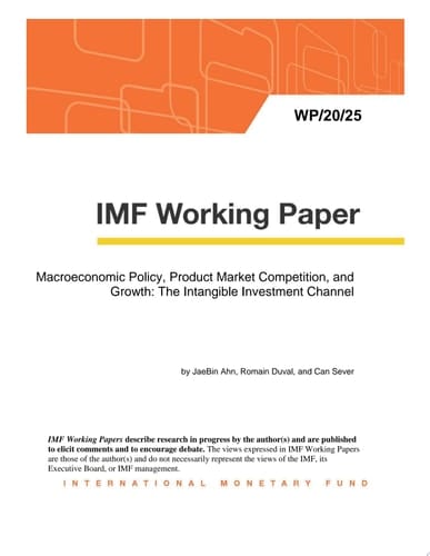 Macroeconomic Policy, Product Market Competition, and Growth: The Intangible Investment Channel