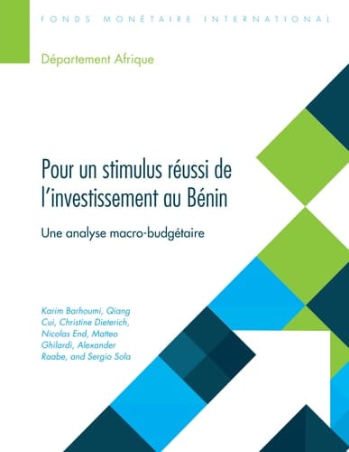 Pour un stimulus réussi de l’investissement au Bénin Une analyse macrobudgétaire