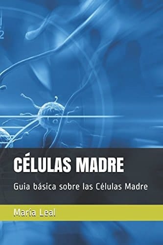 Células Madre Guia Básica Sobre Las Células Madre