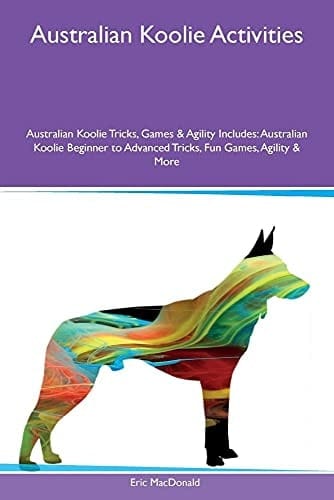 Australian Koolie Activities Australian Koolie Tricks, Games & Agility Includes: Australian Koolie Beginner to Advanced Tricks, Fun Games, Agility & More