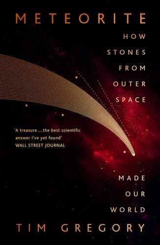 Meteorite The Stones from Outer Space That Made Our World