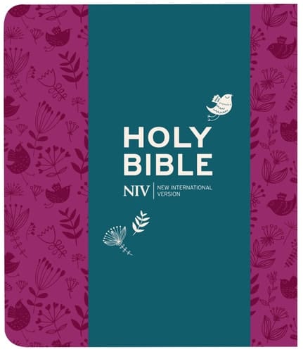 NIV Journalling Plum Soft-Tone Bible with Clasp