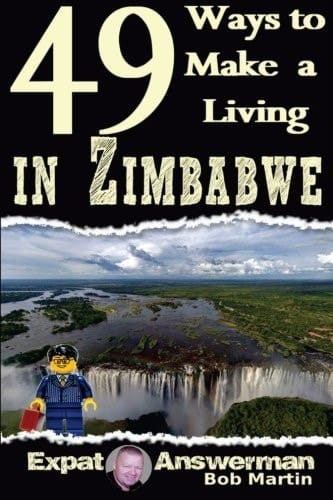49 Ways to Make a Living in Zimbabwe