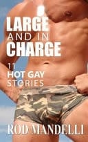 Large And In Charge 11 Hot Gay Stories
