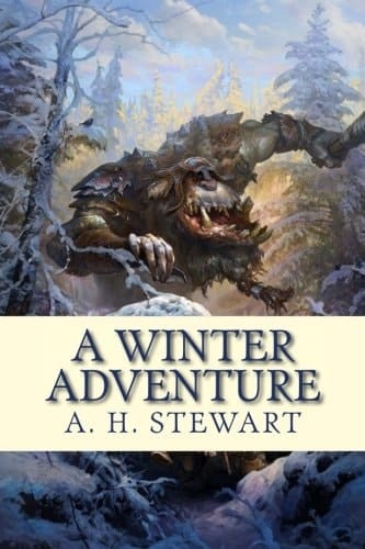 A Winter Adventure