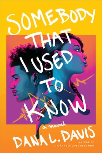 Somebody that I Used to Know A Novel