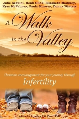 A Walk in the Valley Christian Encouragement for Your Journey Through Infertility