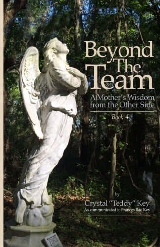 Beyond the Team: a Mother's Wisdom from the Other Side - Book 4