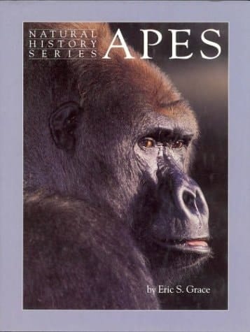 Apes