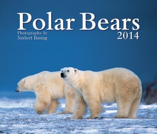 Polar Bears 2014
