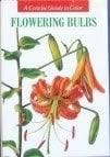Flowering Bulbs