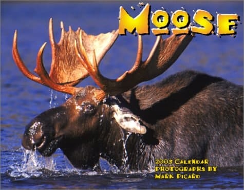 Moose