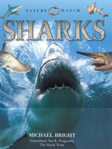 Sharks
