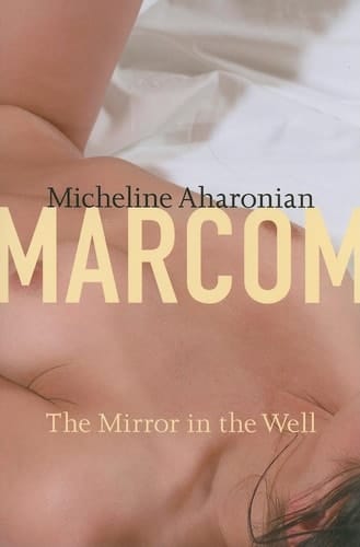 The Mirror in the Well