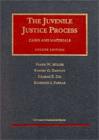 The Juvenile Justice Process (University Casebook Series)