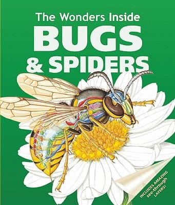 The Wonders Inside Bugs Spiders