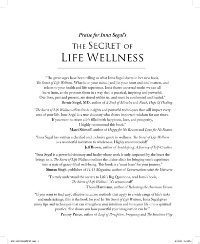 The Secret of Life Wellness The Essential Guide to Life's Big Questions