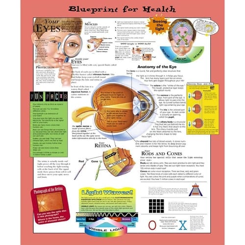 Blueprint for Health Your Eyes Chart