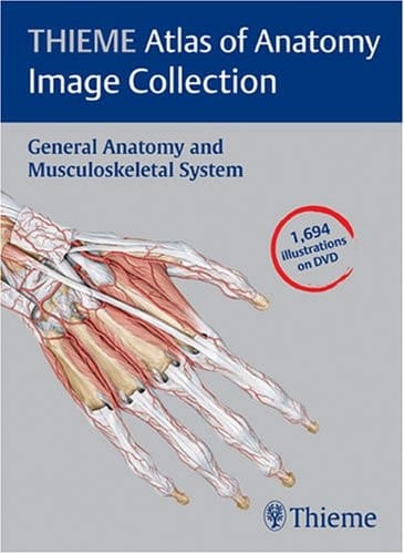 Thieme Atlas of Anatomy Image Collection General Anatomy And Musculoskeletal System