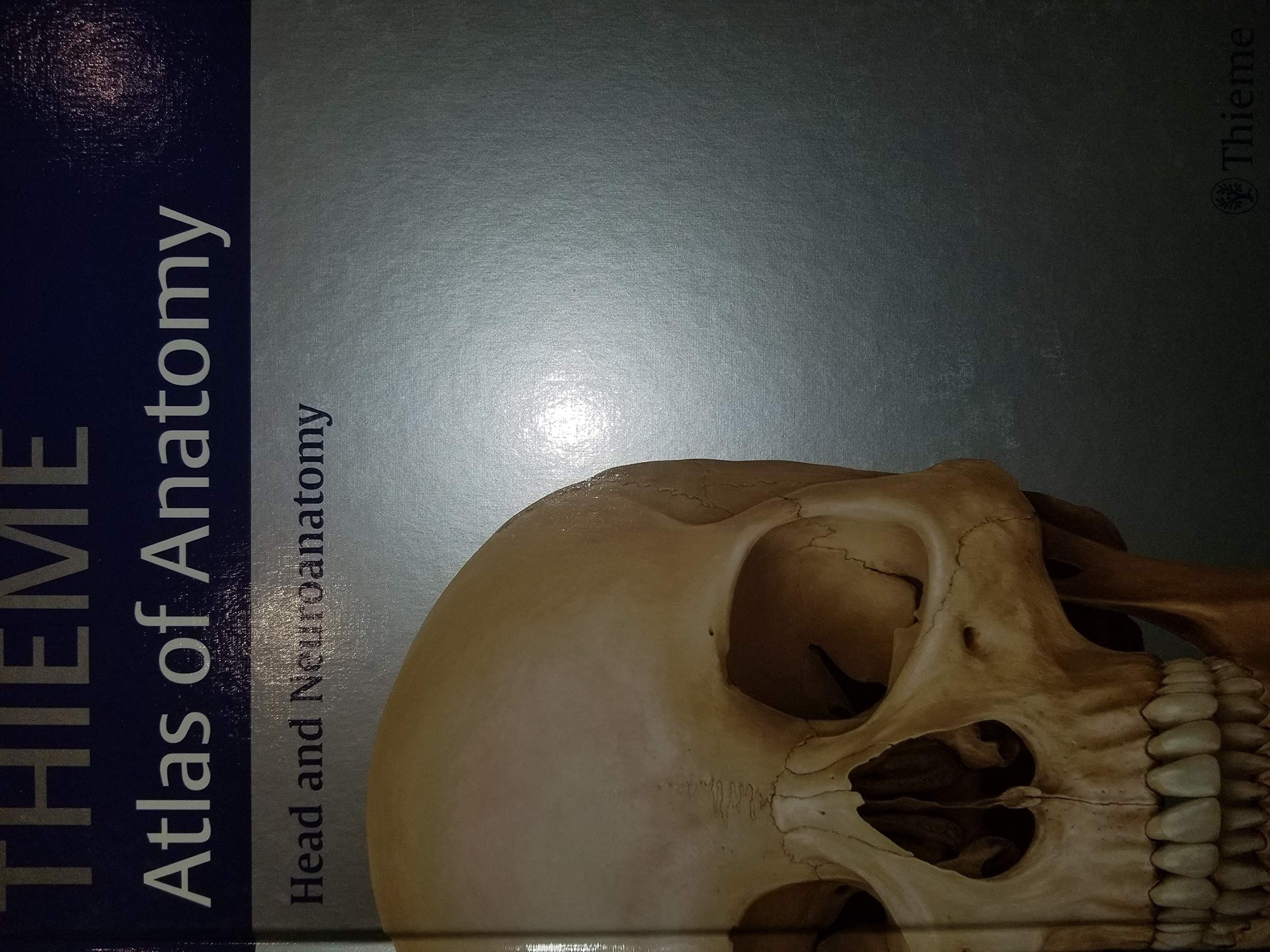 Thieme Atlas of Anatomy