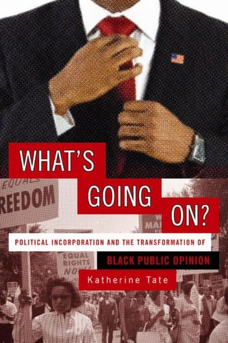 What's Going On? Political Incorporation and the Transformation of Black Public Opinion