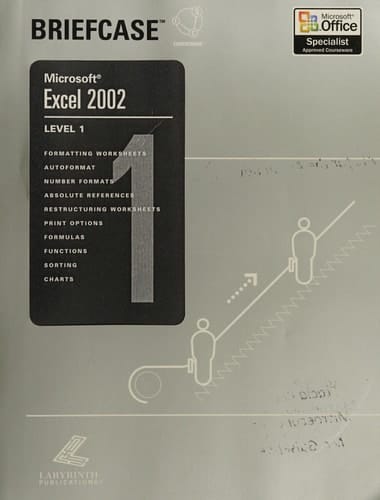 Excel 2002 Level 1