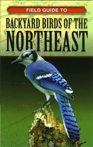 Field Guide to Backyard Birds of the Northeast
