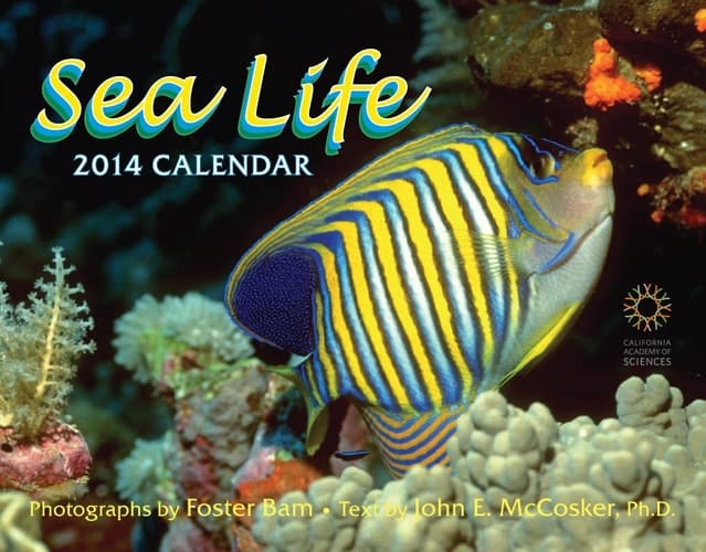 2014 Sea Life