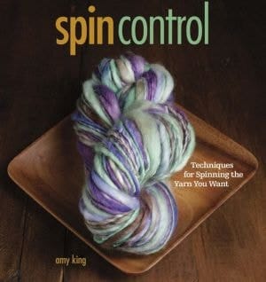 Spin Control (pageperfect Nook Book)