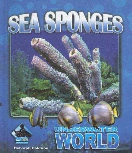 Sea sponges