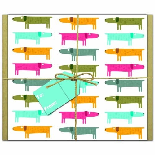 Box of Dogs: Gift-Wrapped GreenNotes -- environmentally friendly Greeting, Invitation & Thank You Cards, 8 Of Each