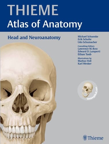 Thieme Atlas of Anatomy Head and neuroanatomy