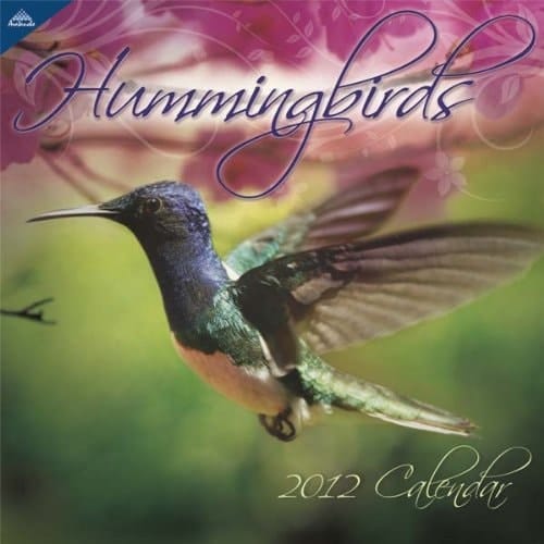Hummingbirds 2012 Calendar