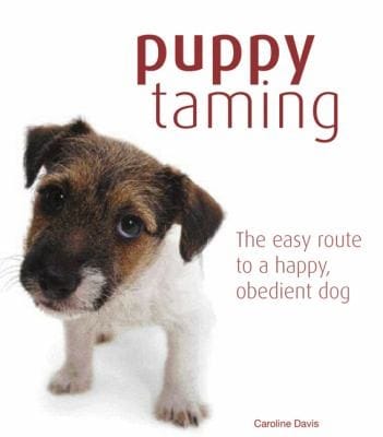 Puppy Taming