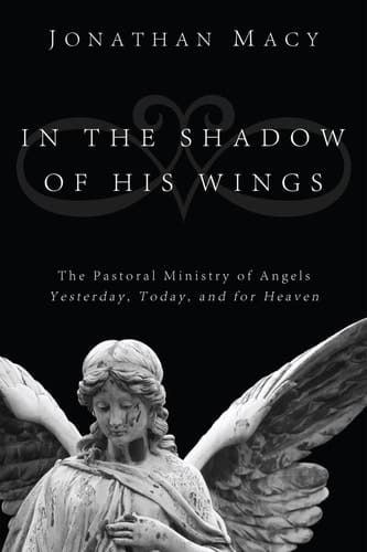 In the Shadow of His Wings The Pastoral Ministry of Angels: Yesterday, Today, and for Heaven