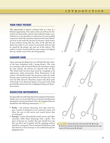 Grant's Dissector