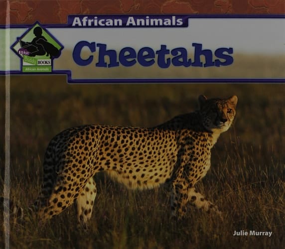 African Animals