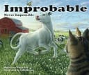 Improbable Never Impossible