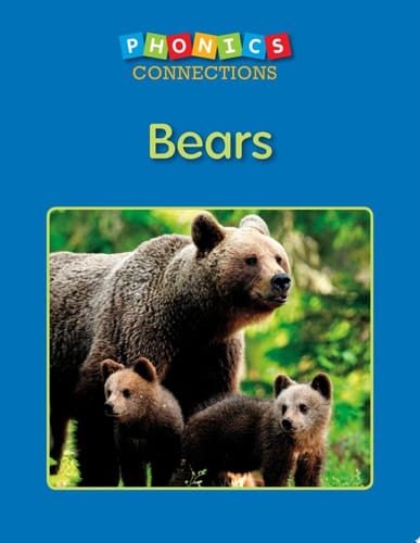 Bears