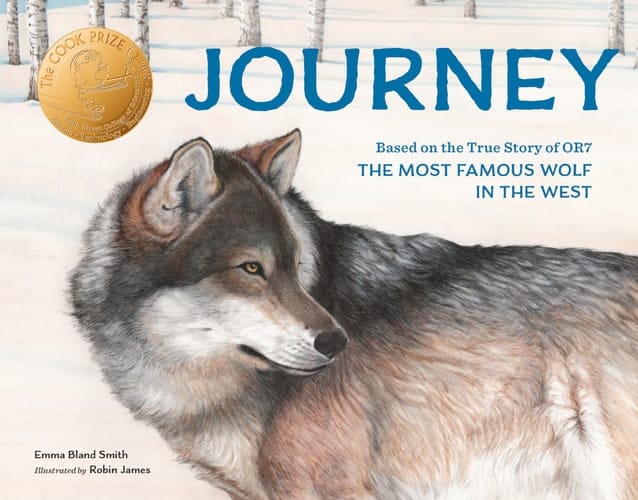 Journey Based on the True Story of OR7, the Most Famous Wolf in the West