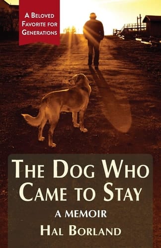 The Dog Who Came to Stay A Memoir