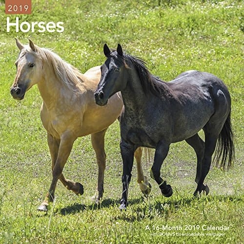 Horses Wall Calendar (2019)