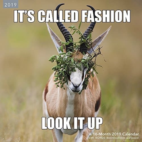 Animal Memes Wall Calendar (2019)